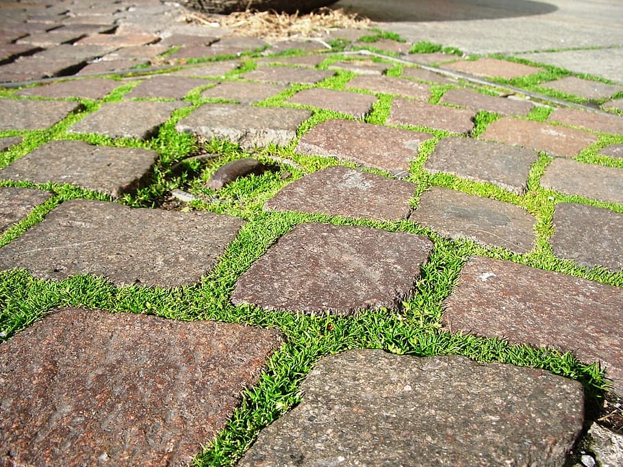 grass, green, nature, brick, pathway, stone, walkway, footpath HD wallpaper