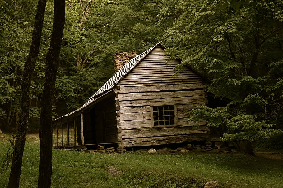 brown house on forest trees, brown wooden house surrounded by green trees HD wallpaper