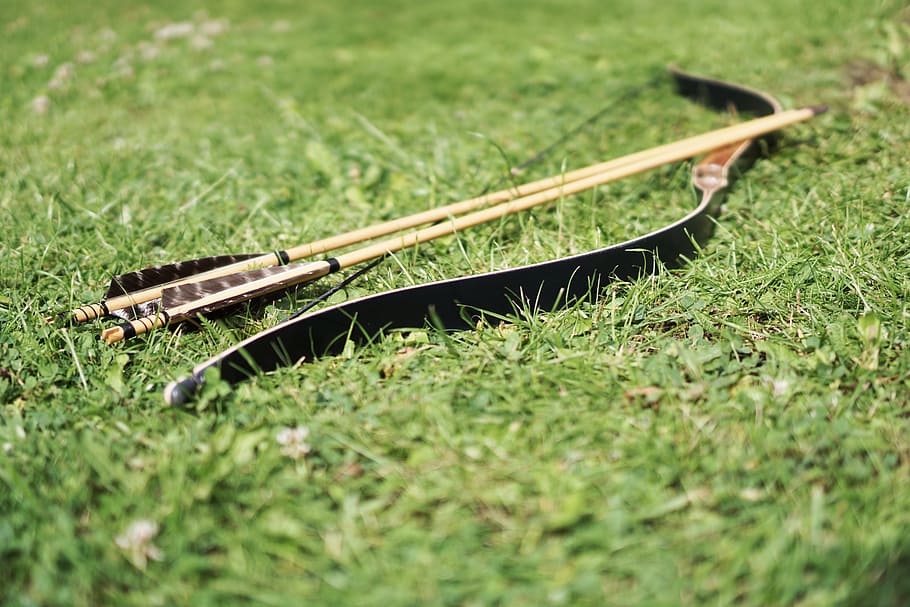 black compound bow with arrows on grassfield during daytime, bow and arrow