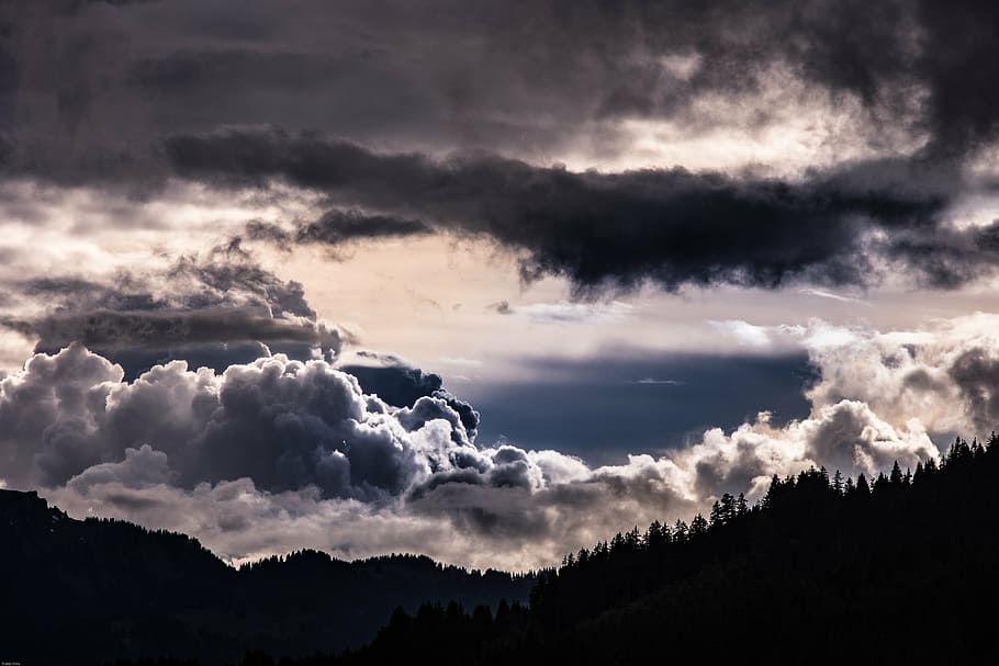 silhouette photo of tall trees on hill under cloudy sky, thunderstorm HD wallpaper
