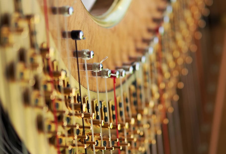 closeup photo of instrument strings, harp, tension, concert HD wallpaper