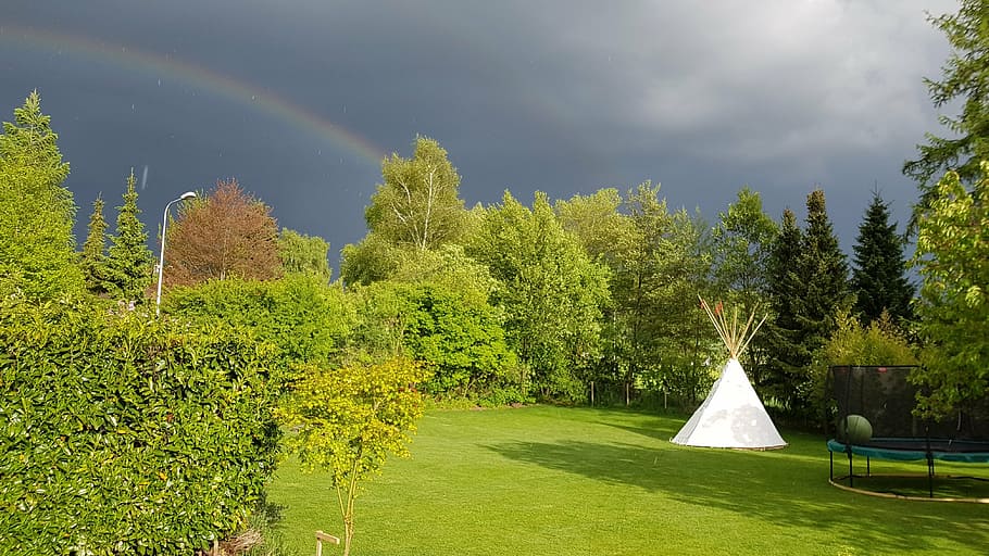 tipi, rainbow, aargau, plant, tree, nature, green color, grass HD wallpaper
