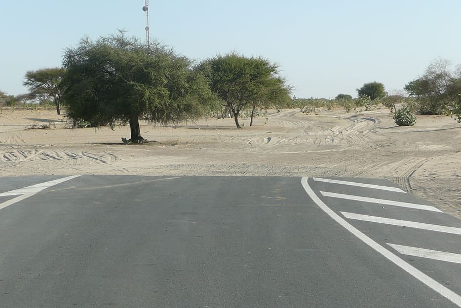 road, tree, africa, path, chad, end of the road, nature, street HD wallpaper