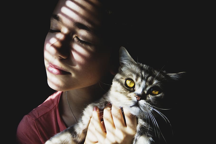 woman holding brown Tabby cat, girl, beauty, emotions, hair, photoshoot, HD wallpaper
