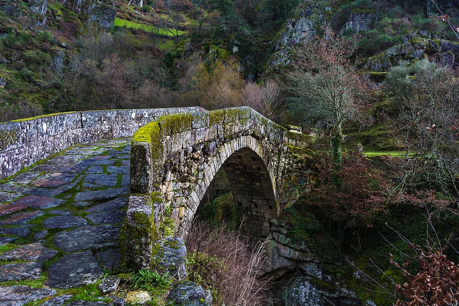 painting of bridge in forest, Bridges, Mountains, Nature, rio HD wallpaper