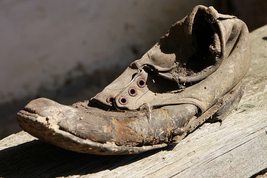 damage, dirty, old, rusty, shoes, clothing, animal, one animal HD wallpaper