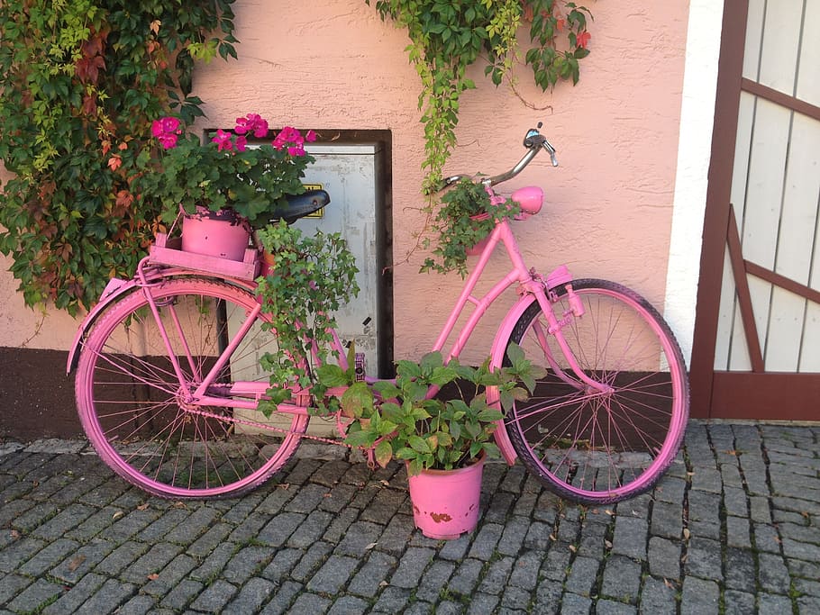HD wallpaper: pink bicycle planter stand beside the wall, bike, sport, girl  | Wallpaper Flare