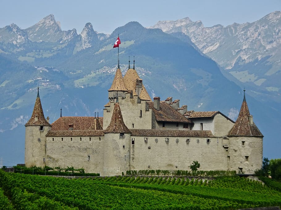brown castle near green plants across mountain, stronghold, swiss