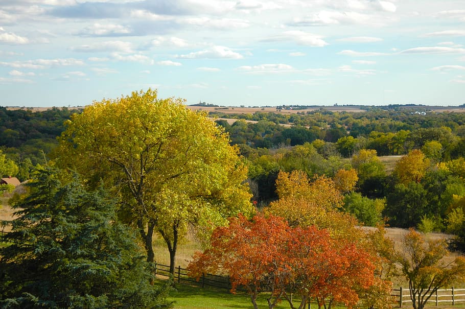 View, Sky, Fall, Trees, Countryside, travel, blue, nature, outdoors HD wallpaper