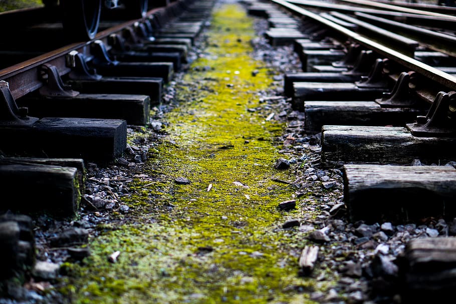 shallow focus photography of green and brown train track, train tracks HD wallpaper