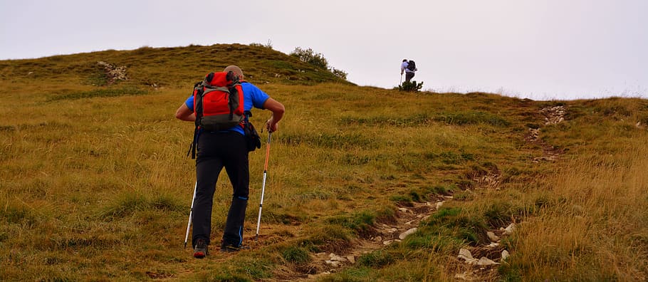 trail, hiking, ascent, walk, mountain, baldo, italy, trekking HD wallpaper