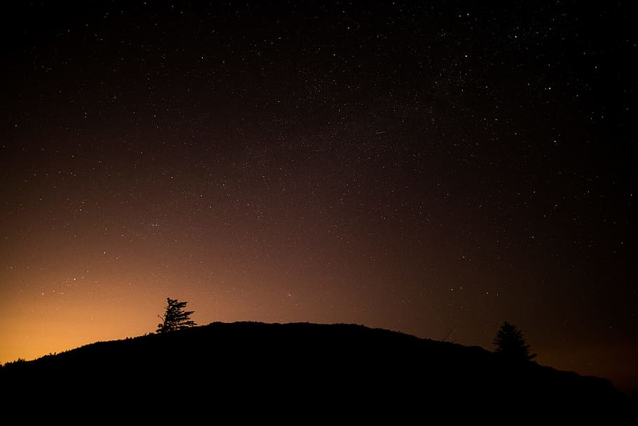 mountain silhouette during night time, trees on hill during sunrise HD wallpaper