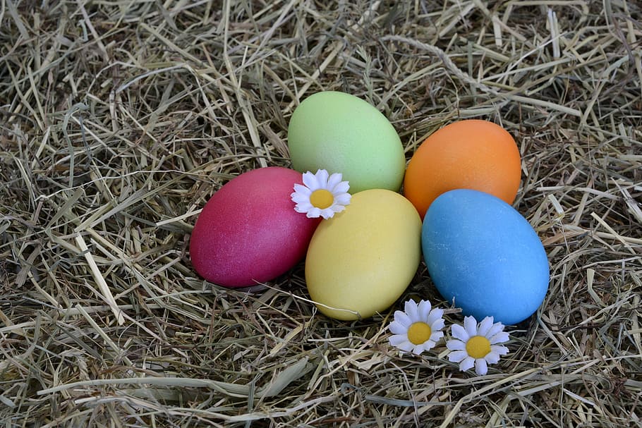 five easter eggs, decoration, easter decoration, happy easter HD wallpaper