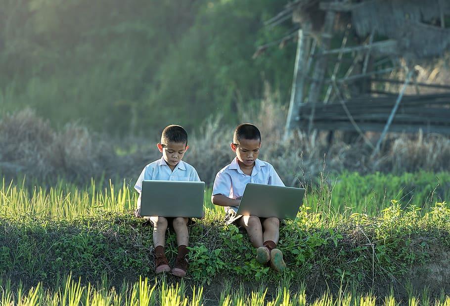 two boys in white dress shirt sitting on grass using laptop computers, HD wallpaper
