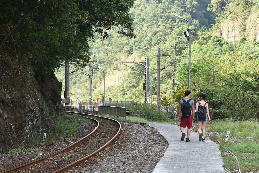tourism, train, transport system, tree, plant, rear view, walking HD wallpaper
