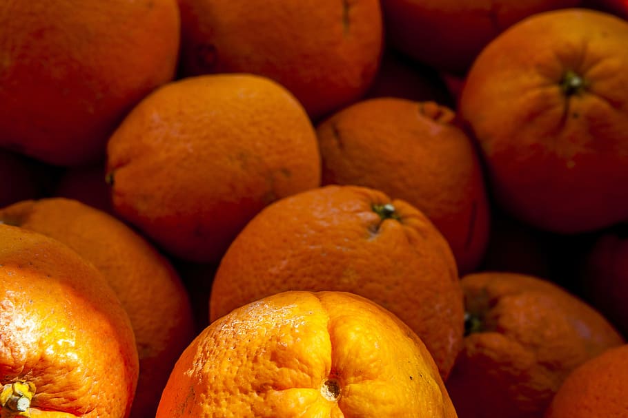 oranges, fruit, summer, vitamin, food and drink, healthy eating HD wallpaper