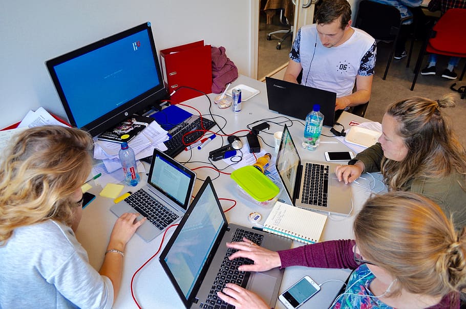 group of four people gathered on a table using laptops, office HD wallpaper