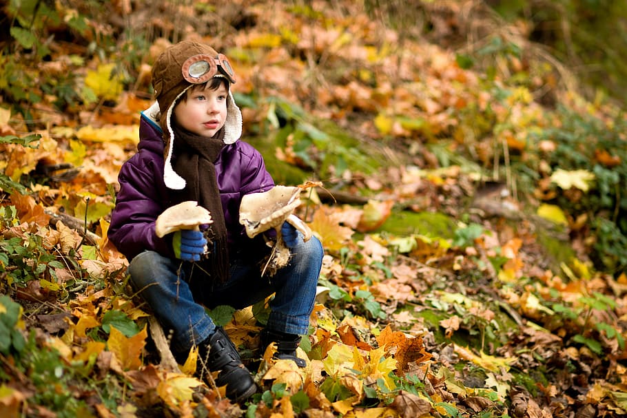 boy sitting on ground covered with leaves, autumn, cap, jacket, HD wallpaper