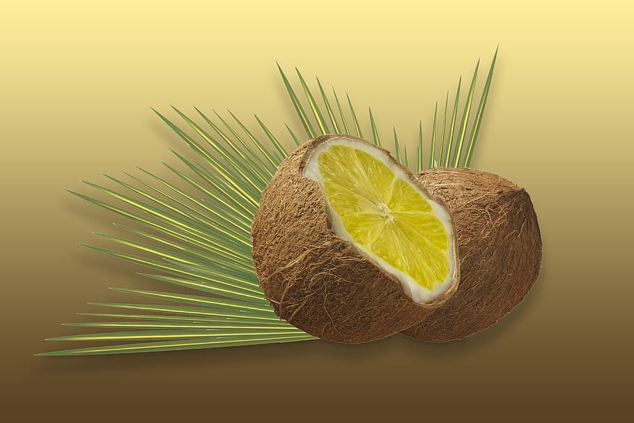 nut, coconut, lemon, surreal, fruit, food and drink, healthy eating HD wallpaper