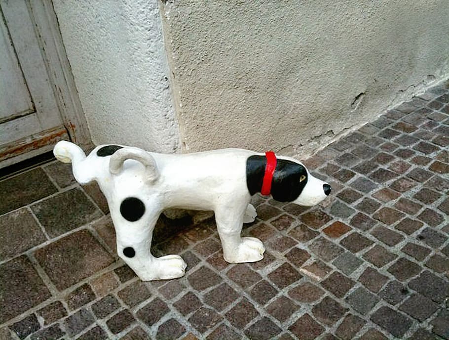 white and black pointer statue, stone dog, pee, roadside, pet HD wallpaper