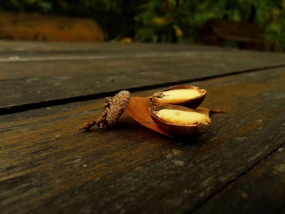 Macro, Nut, Sheet, Wood, Nature, Brown, colors, food and drink HD wallpaper
