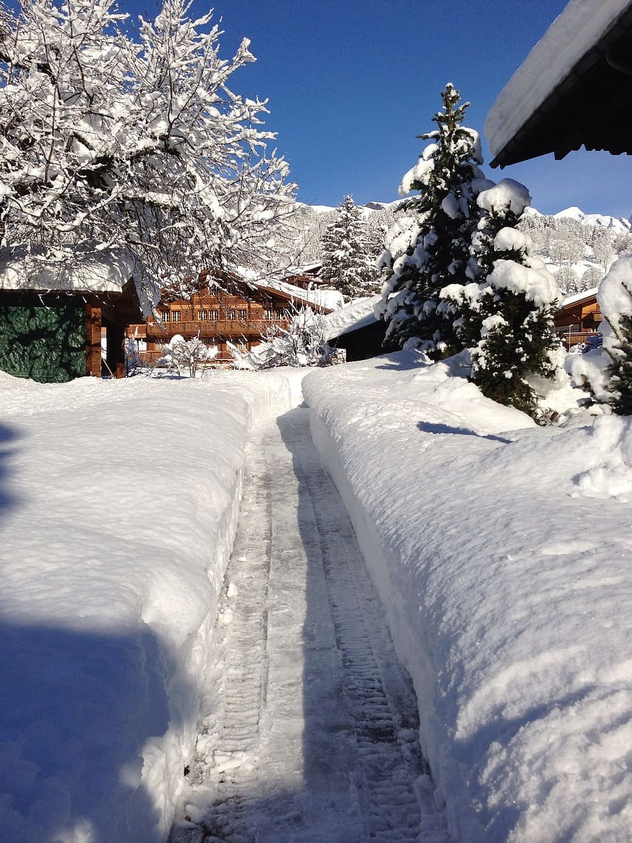 web, snowy, deep snow, cold, winter, hut, mountain hut, wintry HD wallpaper