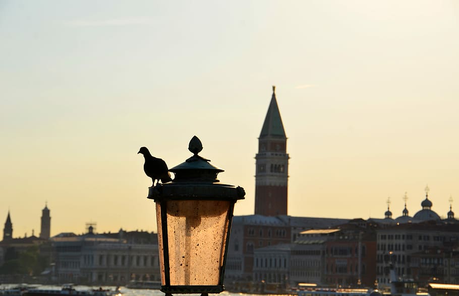 St Mark'S Basilica, Venice, Dove, street light, st mark's square, HD wallpaper