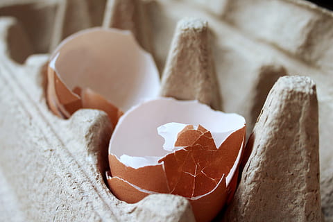 egg, food, cooking, eggs, eggshell, calcium, ingredient, kitchen HD wallpaper