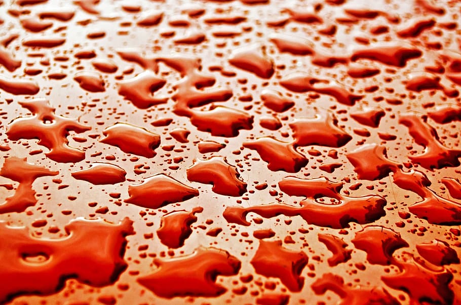 water, drops, wet, macro, background, wallpaper, red, rain HD wallpaper