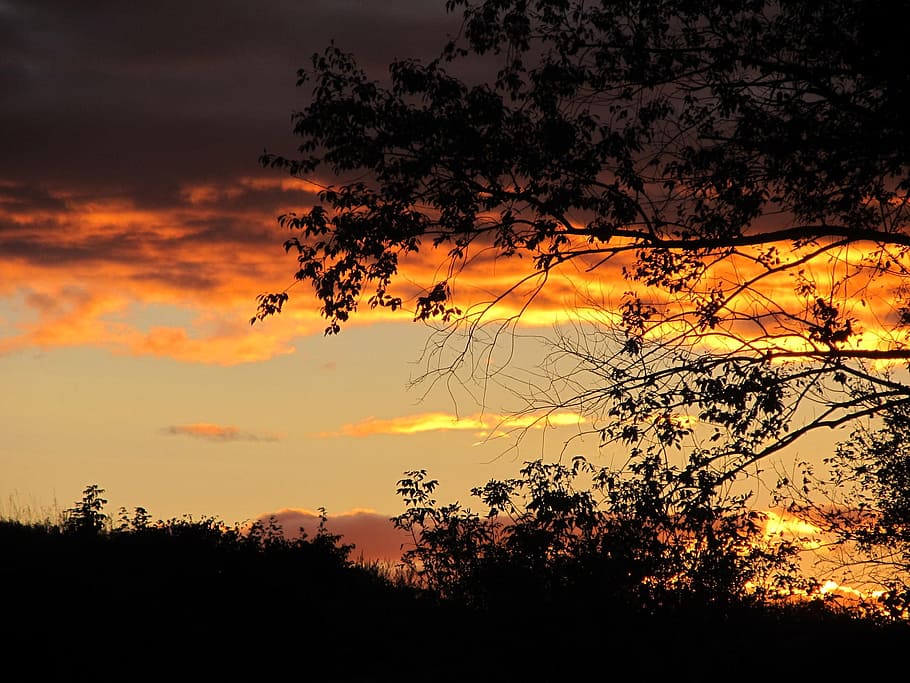 Sunset, Clouds, breathtaking, sky, outdoors, scenic, tranquil HD wallpaper