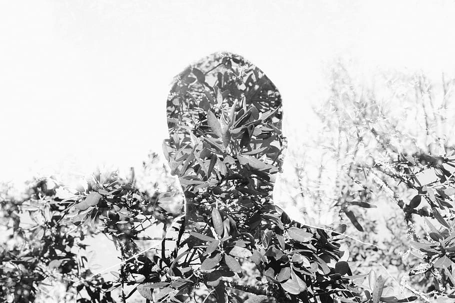 people, man, camera, effect, double exposure, leaves, nature HD wallpaper