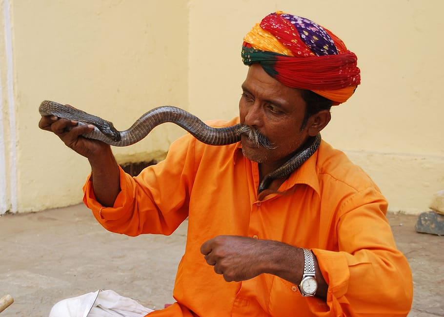 snake charmer jaipur, amer fort jaipur tour, travels, turban, HD wallpaper