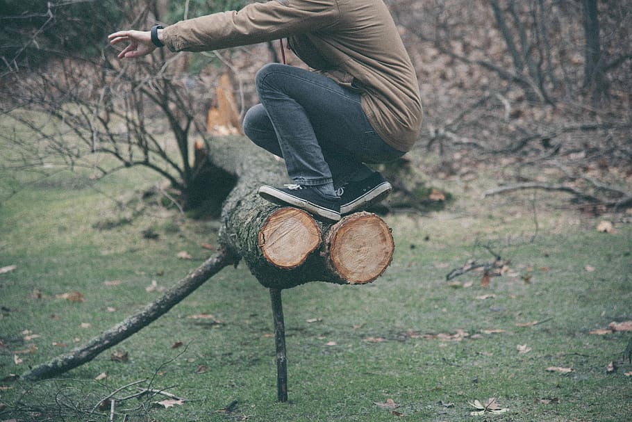 person sitting on brown tree log, person on top of cut log during daytime HD wallpaper