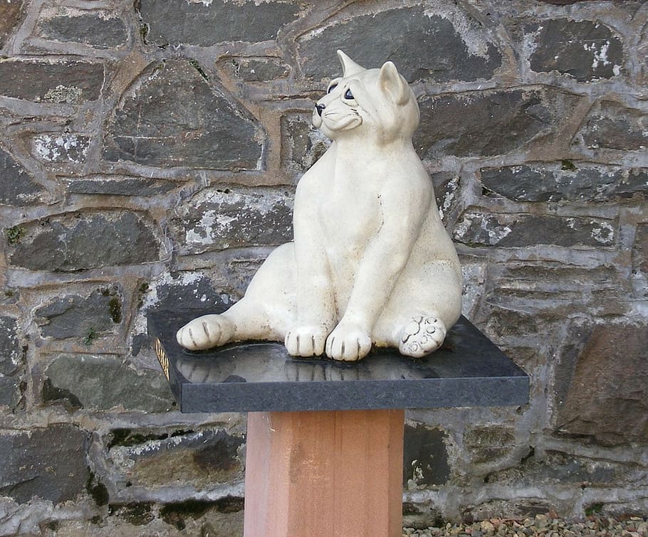 cat, statue, stone, wall, figure, animal themes, mammal, one animal HD wallpaper