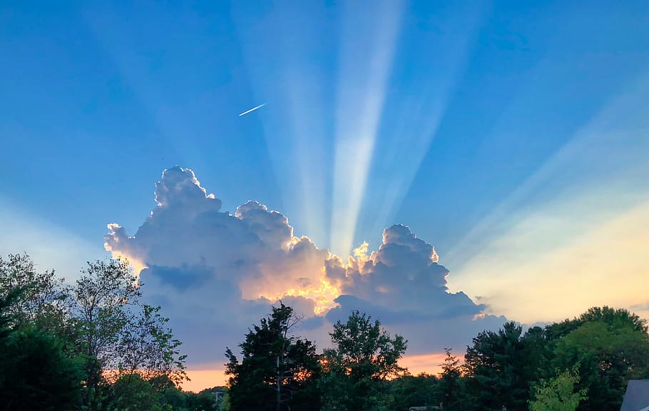 sun, rays, blue sky, sun rays, sunset, evening, tree, plant HD wallpaper