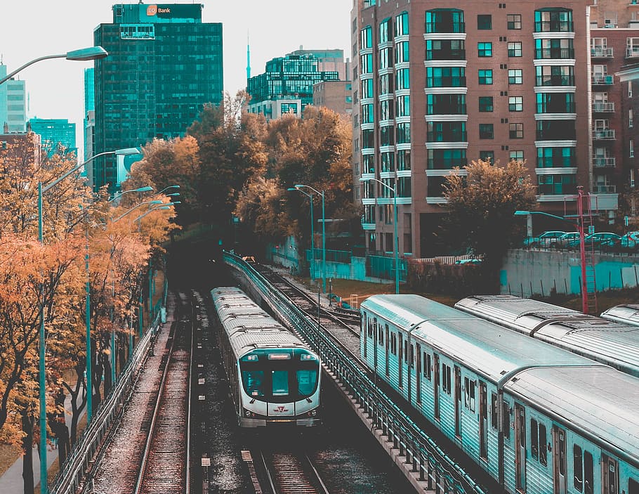 two gray train on rail, train on train rails during daytime, train tracks HD wallpaper
