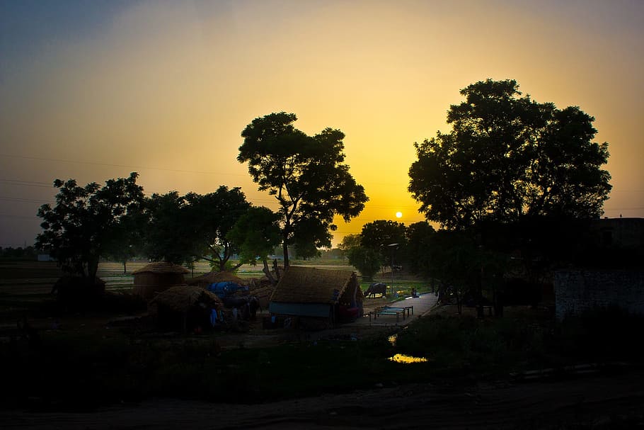 Sunset, India, Village, tree, silhouette, no people, outdoors HD wallpaper