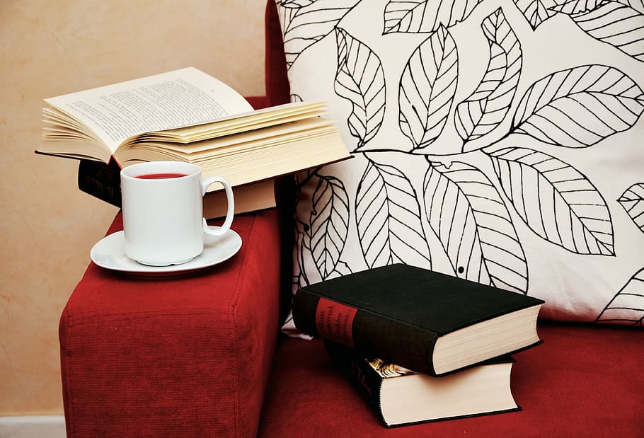 white ceramic mug with saucer on red fabric sofa near two black books HD wallpaper