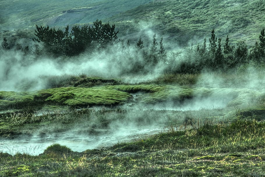 grass field with smoke, foggy, hillside, forest, mountain, landscape HD wallpaper