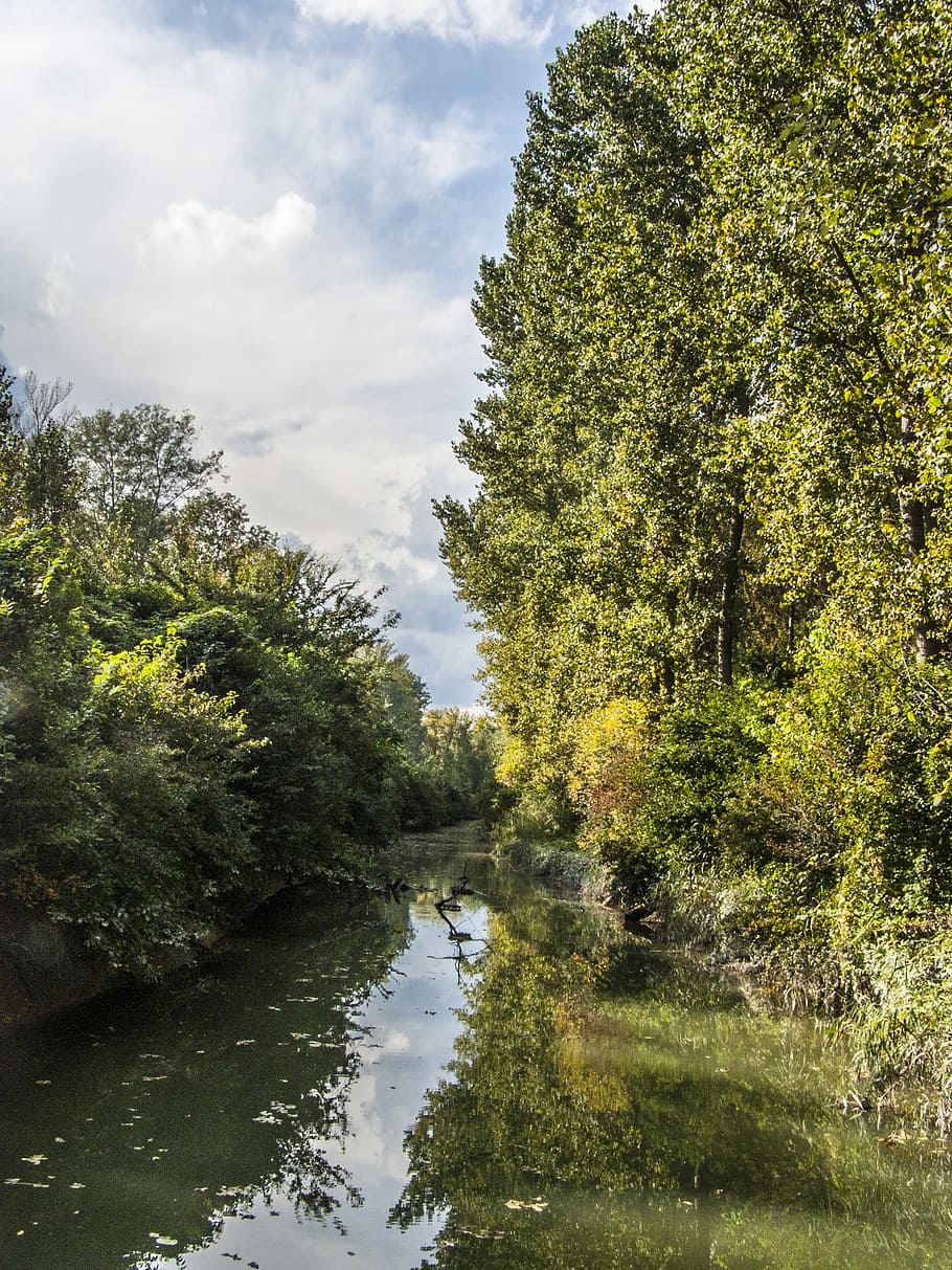 river, trees, nature, reflection, danube, water, plant, growth HD wallpaper