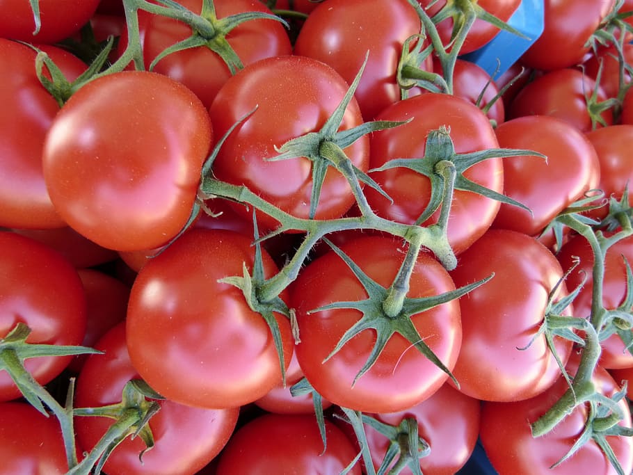 pile of ripe tomatoes, vegetables, red, food, food and drink HD wallpaper