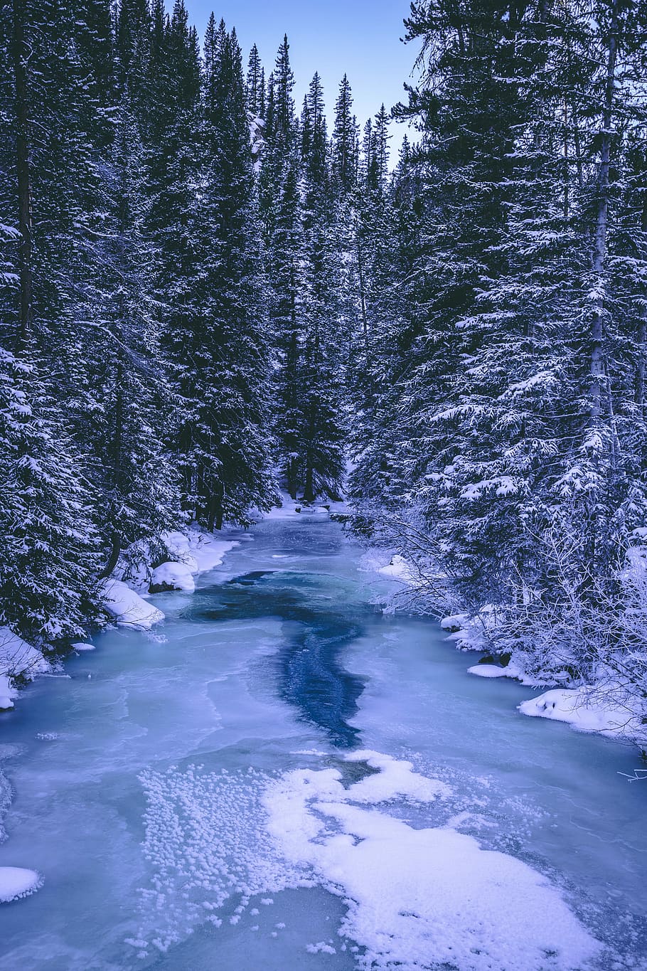 lake in the middle of forest, snow covered river between trees during daytime photo HD wallpaper