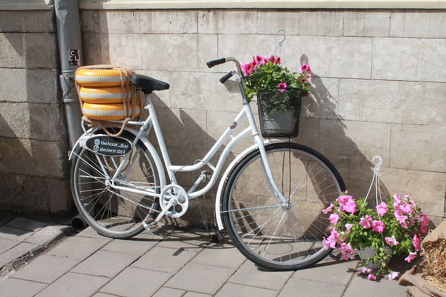 bike, flowers, cheese, travel, tourism, vacation, flowering plant, HD wallpaper
