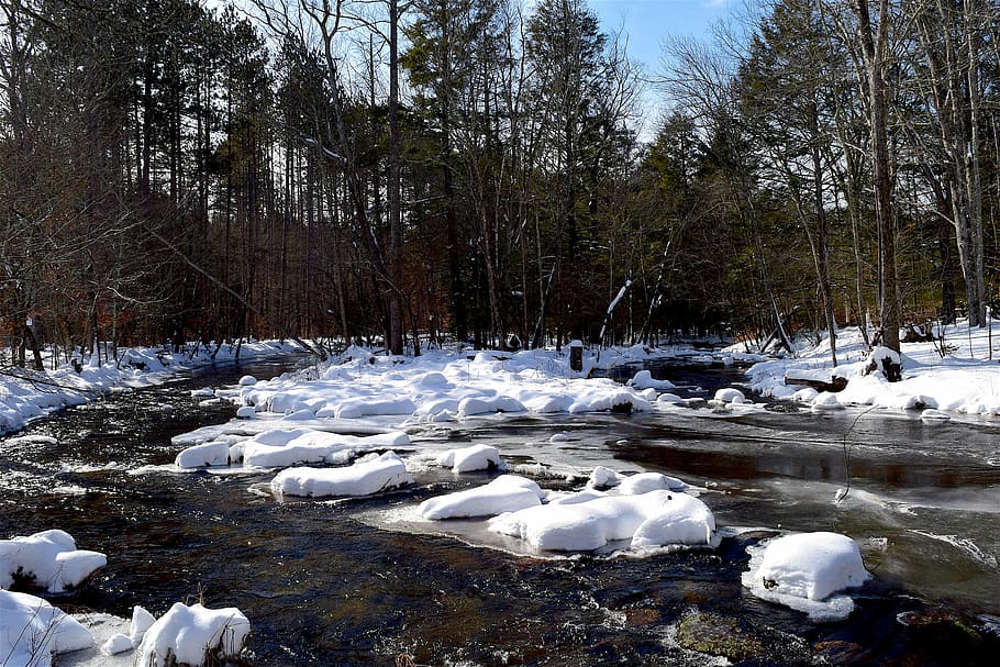 snow, river, winter, cold, white, frost, season, tree, outdoor HD wallpaper