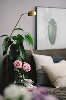 Lovely roseses, book and coffee, interior, resting, relax, essentials HD wallpaper