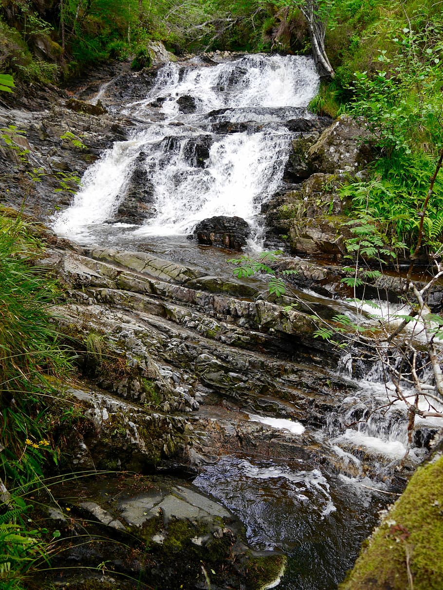 stream, water, forest, greenery, scotland, waterfall, nature HD wallpaper