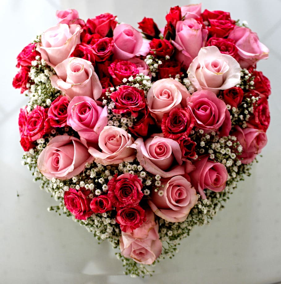 heart-shaped pink and red roses flower arrangement, rose bloom, HD wallpaper