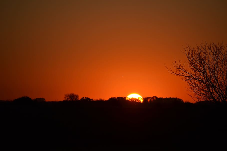 Setting Sun, Sunset, Orange Sky, without clouds, silhouettes HD wallpaper