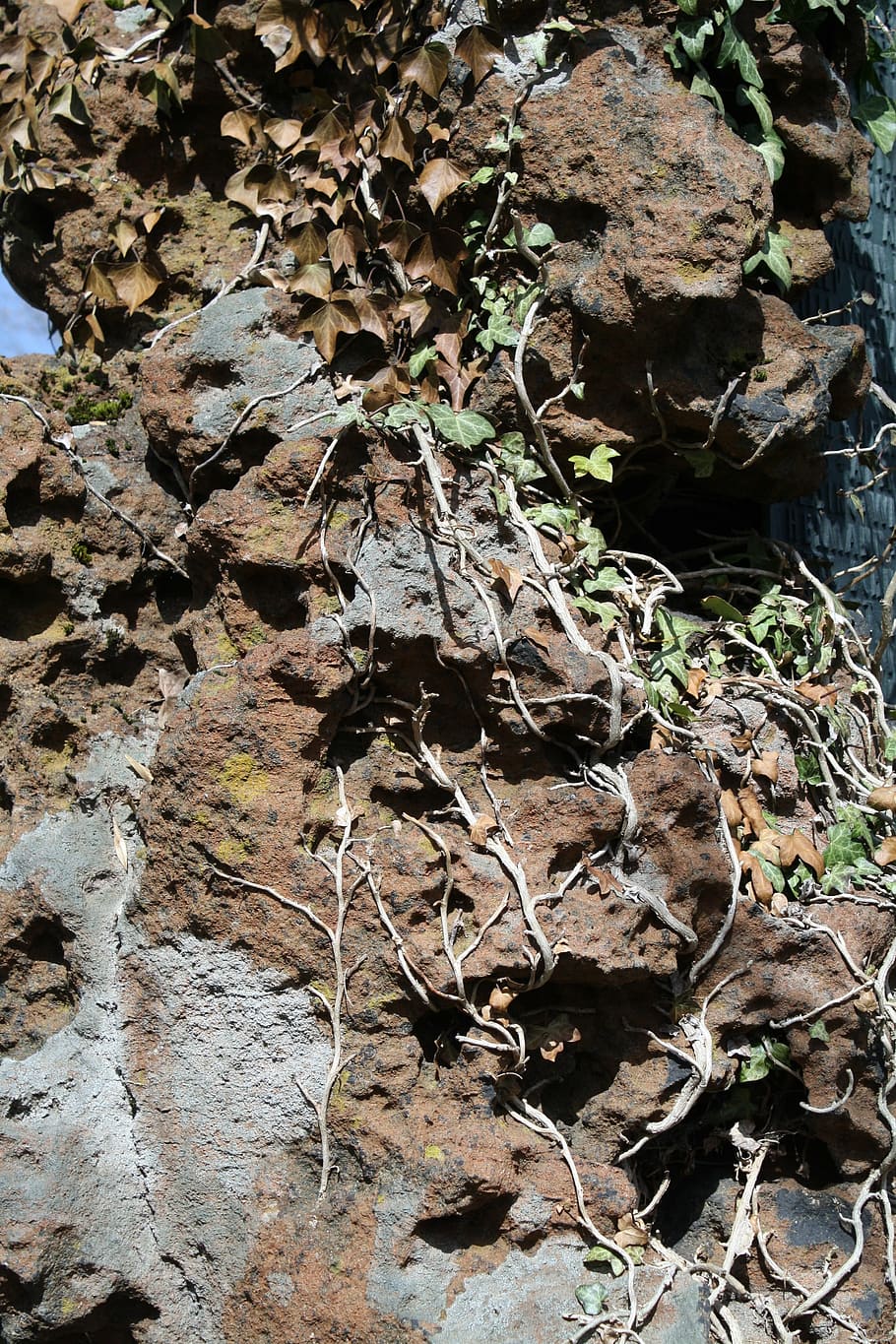 stone, moss, texture, old, rock, minerals, overgrown, dry, leaf HD wallpaper