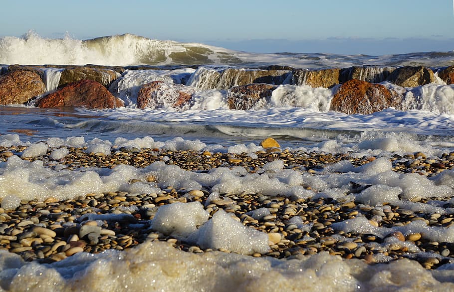 Foam, Sea, Wave, Beach, no people, animals in the wild, nature HD wallpaper